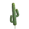 Cactus, 20×9 cm