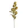 Banksia, mākslīgais augs, 83 cm, zaļš
