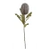 Banksia, mākslīgais augs, 65 cm, tumši violets