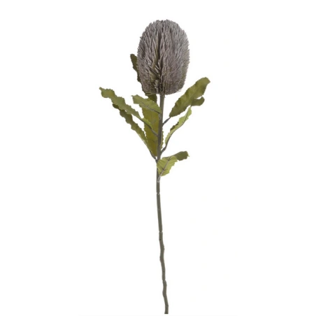 Banksia, mākslīgais augs, 65 cm, tumši violets