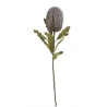 Banksia, mākslīgais augs, 65 cm, tumši violets