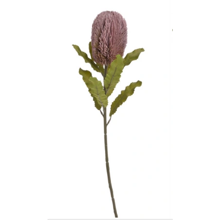 Banksia, mākslīgais augs, 65 cm, rozā