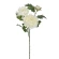 Chrysanthemum Branch, 72 Cm, Cream Color