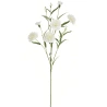 Carnation Branch, 65 cm, Cream