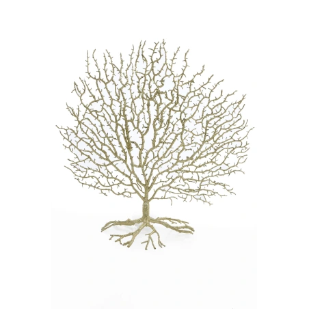 Lucky Coral Tree, 42 cm, Gold