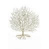 Lucky Coral Tree, 42 cm, Gold