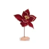 Poinsettia, Ø 15 m, On Stem,  Cherry Color