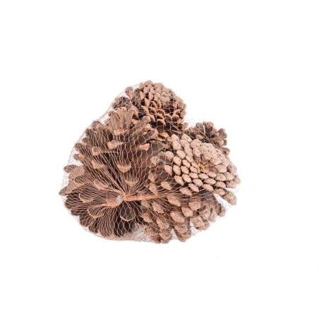 Pine Cones, 300 g