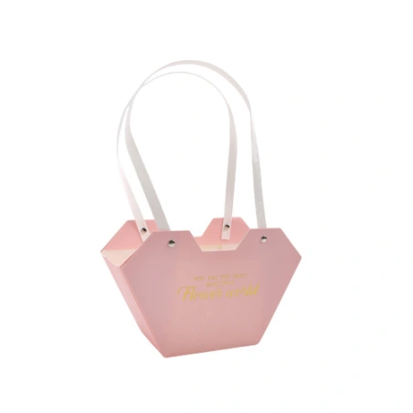 Gift Bag, 23×15×9 cm, Light Pink Color