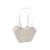 Gift Bag, 23×15×9 cm, White Color