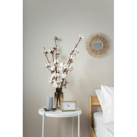 Medvilnės šakelė, 60 - 70 cm