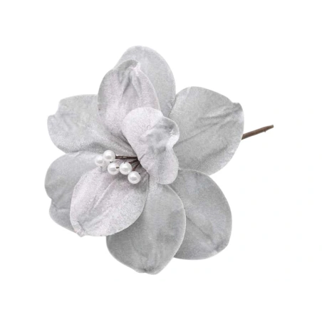 Magnolija, samtaina, pelēkas krāsas, 15 cm