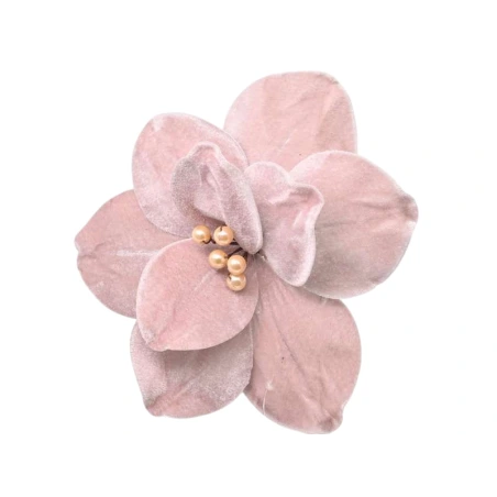 Magnolia, Velvety, Pink, 15 cm