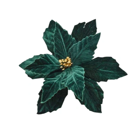 Magnolija, aksominė, žalios spalvos, 15 cm