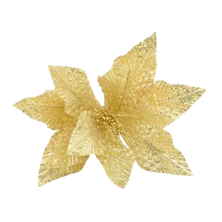 Poinsettia, 20 cm, Golden