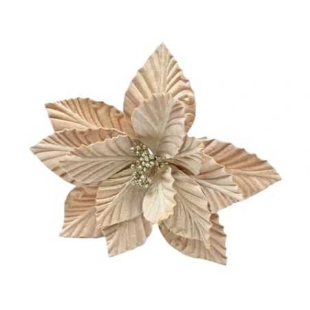 Poinsettia, 25 cm, Dark Cream Color