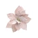 Poinsettia, 25 cm, Pink Color