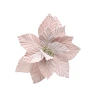 Poinsettia, 25 cm, Pink Color