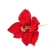 Poinsettia, 25 cm, Red Color