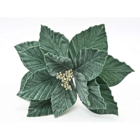 Poinsettia, 25 cm, Green Color