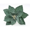 Poinsettia, 25 cm, Green Color