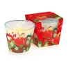 Kvepianti žvakė stikliniame inde, 2 aromatai – „Red Apple“ and „Gold apple“, 115 g, degimo laikas – 30 h