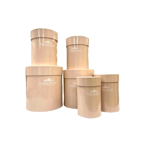 Gift Boxes, 1 set – 6 pcs, light sand colour