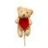 Teddy Bear (10 cm) with Heart on 45 cm Stem