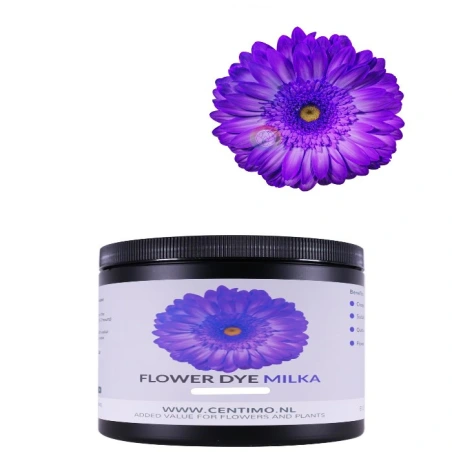 Įsigeriantys gėlių dažai, 100 g, violetinės spalvos