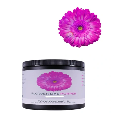 Absorbing Flower Dye, 100 g, Purple Color