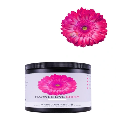 Įsigeriantys gėlių dažai, 100 g, erikos spalvos