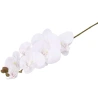 Artificial Orchid, H-75 cm