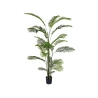 Areca in Pot "Real Touch", 220 cm