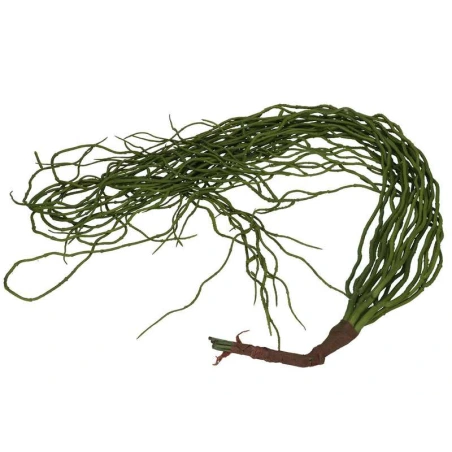 Karājoša zaļuma, h-120 cm