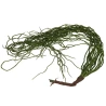 Hanging Greenery, h-120 cm