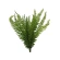 Fern Bouquet, h-60 cm