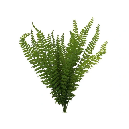 Fern Bouquet, h-60 cm