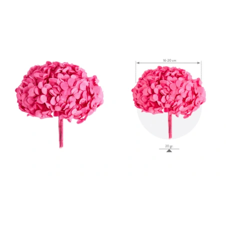Stabilized Hydrangea, 15×20 cm, Pink