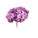 Stabilizuota hortenzija (Hydrangea), 15×20 cm, levandų spalvos