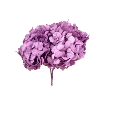 Stabilizēta hortenzija (Hydrangea), 15×20 cm, lavandas krāsā