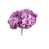 Stabilizēta hortenzija (Hydrangea), 15×20 cm, lavandas krāsā