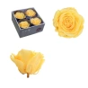 Stabilized Rose Flower, 6.5×8.5 cm, Yellow