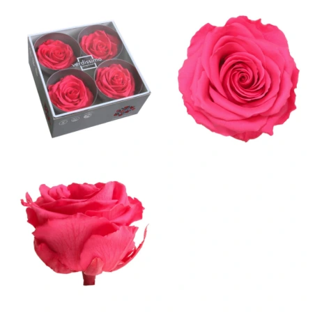 Stabilizuotas rožės žiedas, 6,5×8,5 cm, tamsiai rožinės spalvos