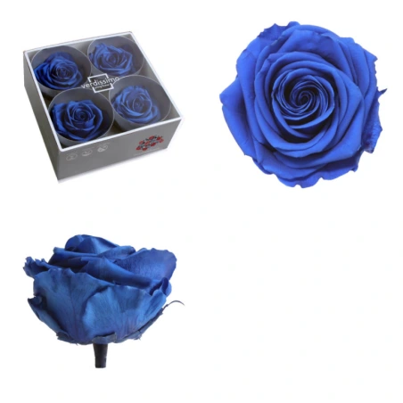 Stabilizēts rozes pumpurs, 6,5×8,5 cm, tumši zils