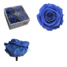 Stabilized Rose Bud, 6.5×8.5 cm, Dark Blue