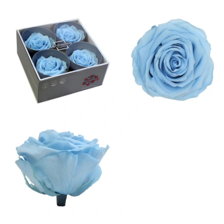 Stabilizēts rozes pumpurs, 6,5×8,5 cm, gaiši zils