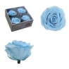 Stabilized Rose Bud, 6.5×8.5 cm, Light Blue