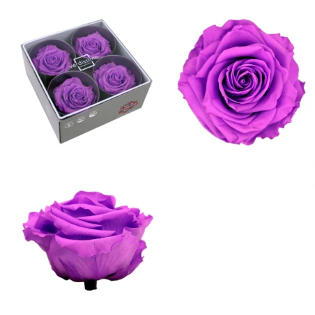 Stabilizēts rozes pumpurs, 6,5×8,5 cm,  ceriņu krāsā