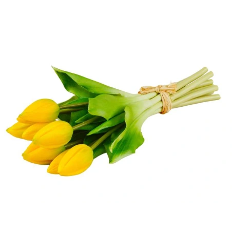 Lateksinės tulpės, 9 vnt.,h-28 cm