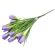 Crocus Bouquet, h-30 cm, violet color